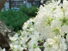 -元大都城垣遗址公园