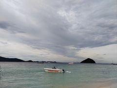 -珊瑚岛