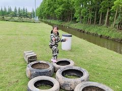 -上海长兴岛郊野公园