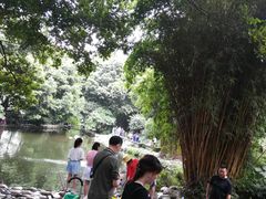 -成都市活水公园