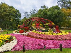 -上海共青森林公园