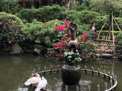 -观澜山水田园