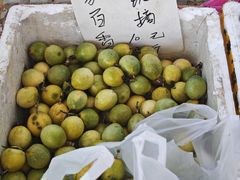 -叶挺将军纪念园