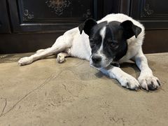 -可可露咖啡店(大东店)