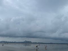 -红树林天天赶海