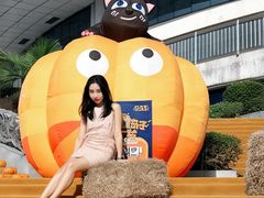 -灵玲国际马戏城