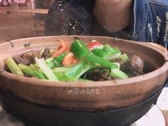 -大富蚝乌东哥饭店·石锅鱼杂·柠檬鸭(革新路店)