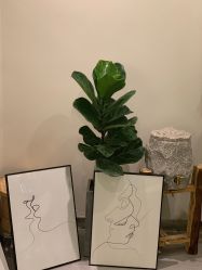 -康颜SPA自然疗愈皮肤管理中心