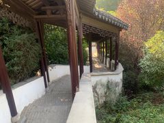 -花洲书院