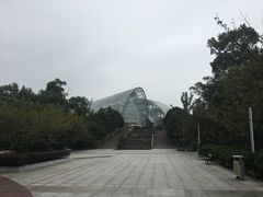 -南山植物园