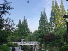 -兰溪青年公园