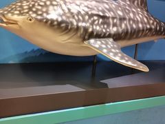 -多彩贵州城极地海洋世界