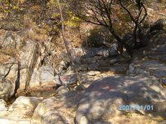 -沂蒙山旅游区云蒙景区(蒙山国家森林公园)