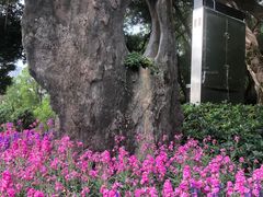 -板樟山森林公园