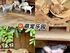 -佛冈森波拉度假区