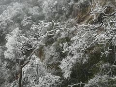 -金子山原生态旅游风景区