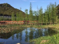 -广州市石门国家森林公园