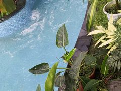 -天源吉布世温泉水乐园