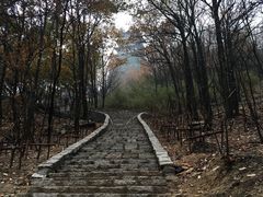 -大伊山景区