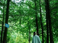 -金堂县云顶石城风景区