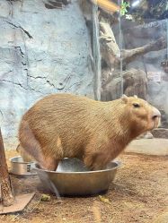 -Zoolung Zoolung动物主题公园(海信广场店)