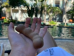 -三亚亚龙湾雅高美爵酒店