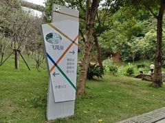 -飞凤山奥体公园