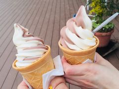 -台场海滨公园船码头