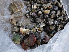 -青岛第三海水浴场