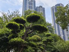 -汉水公园