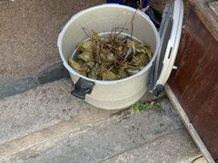 -司徒世家·兵马司林粽球(牌坊街店)