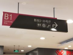 -新影联·华谊兄弟影院(望京店)