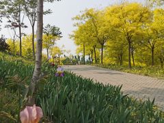 -东郊湿地公园