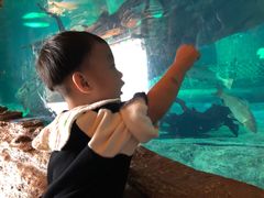 -华夏文旅海洋公园