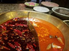 鸳鸯锅底-小龙坎火锅(黄河店)