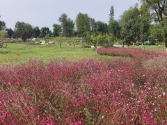 -汉长安城未央宫国家考古遗址公园