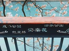 -成都市活水公园