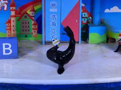 -成都浩海立方海洋公园