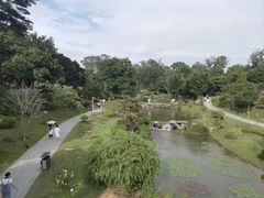 -东莞植物园