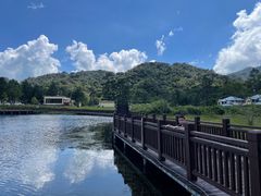 -海南热带雨林国家公园吊罗山景区