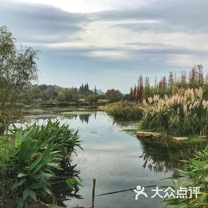 花溪十里河灘溼地公園