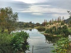 -贵阳市花溪国家城市湿地公园