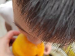 -樂桃源奉贤黄桃种植采摘基地