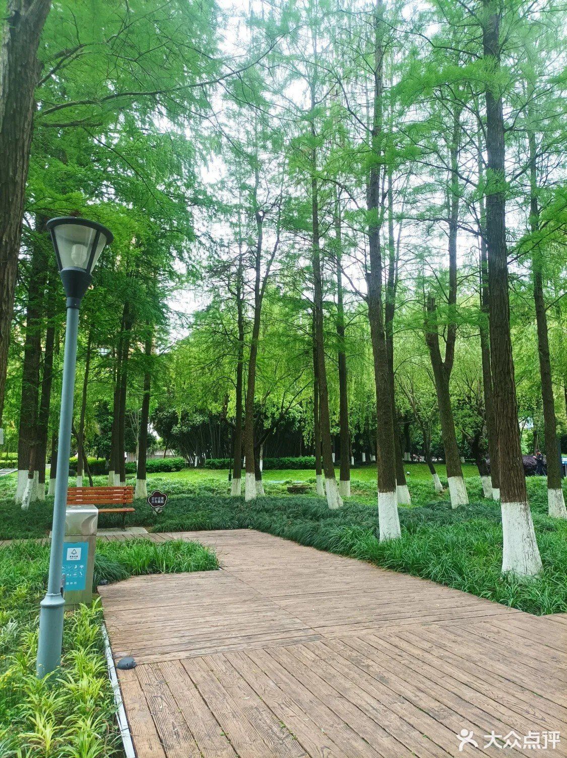 天天领红包#公园漫步之旅乐清中心公园有一大片儿童幼童设施,能挖沙