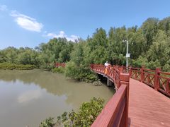 -大亚湾红树林城市湿地公园