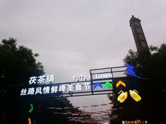 -茯茶镇