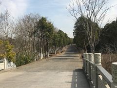 -上海海湾国家森林公园