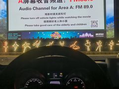 -枫花园汽车电影院(朝阳公园店)