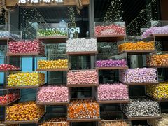 -泡泡玛特POPMART(天环购物中心店)