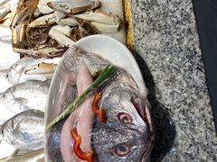 -天天渔港海鲜酒家(石浦玉泉路店)
